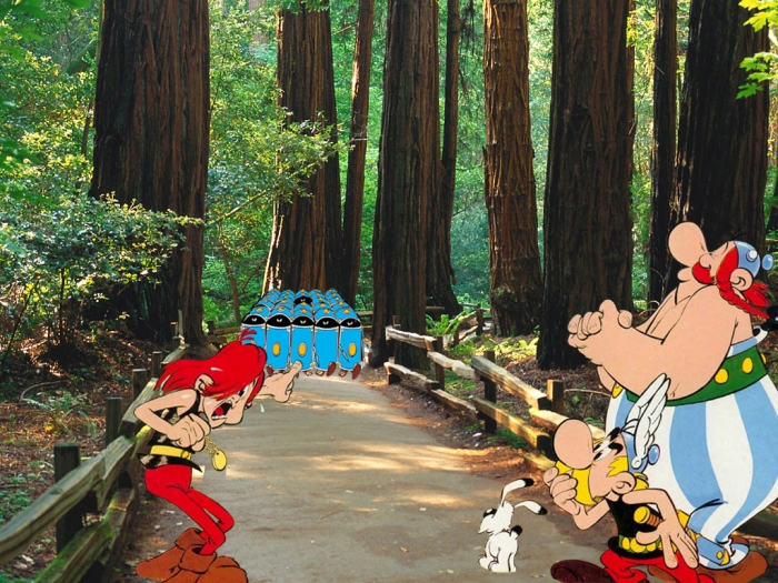 Asterix 