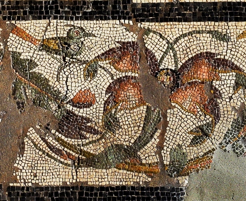 Particolare della decorazione del mosaico con il volatile (Cutrettola) sopra le volute fiorite