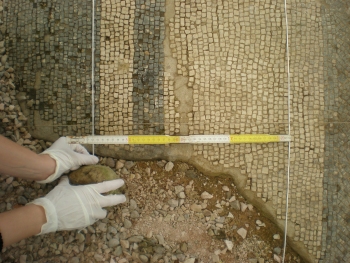 intervento di restauro sui mosaici della domus di Claterna