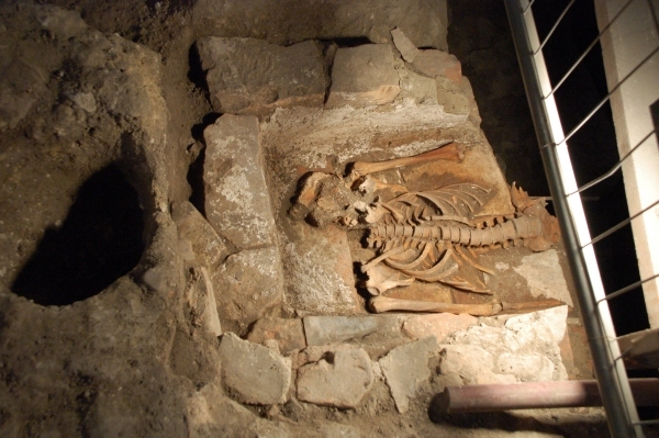 La sepoltura in cassa laterizia collocata nella navata centrale della chiesa superiore fra XI e XII secolo