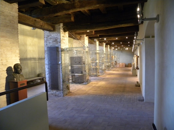 Nuova sezione archeologica del Museo Civico