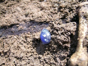 Blocchetto di pasta vitrea, forse parte di un anello, trovato vicino alla mano sinistra del pellegrino