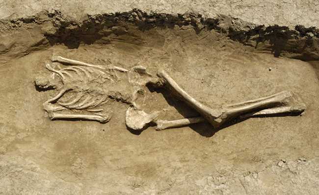 Tomba 13 - Lo scheletro acefalo e privo di piedi e del braccio destro