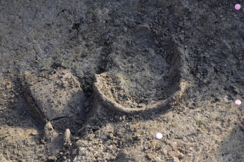 Materiali ceramici dell'et del Bronzo rinvenuti negli scavi 2013