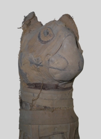 Particolare della mummia di gatto conservata al Museo Archeologico Nazionale di Parma