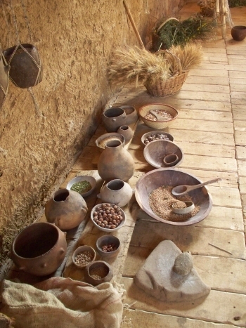 alimentazione nel villaggio neolotico di Travo