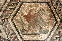 Mosaico policromo di Orfeo: l'aquila (particolare)